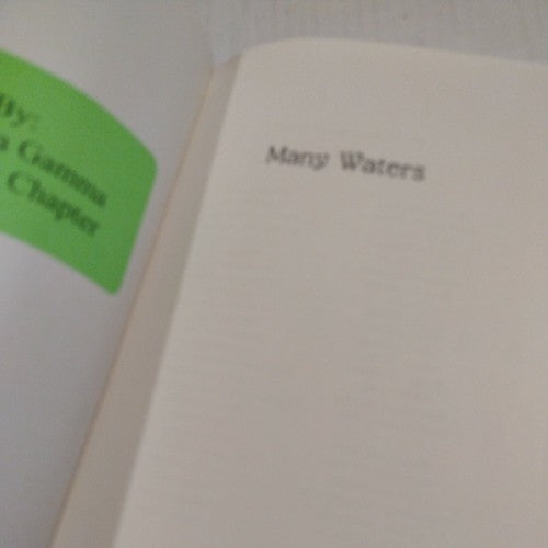 MANY WATERS (TIME) By Madeleine L'engle (1986) Paperback