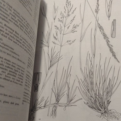 Royal Horticultural Society: Manual of Grasses by Mark Griffiths 1994 Hardcover