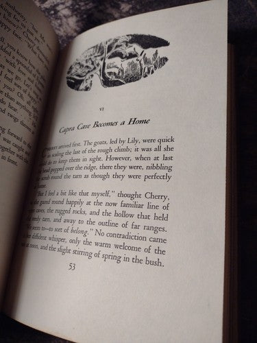 They Found a Cave by Nan Chauncy -Hardcover -1961 -1st American Edition -Vintage