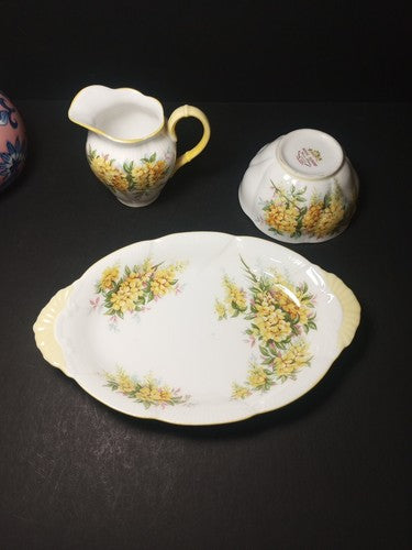 Royal Albert Tea/Coffee Creamer, Sugar And Plate Blossom Series "Laburnum" 1960s