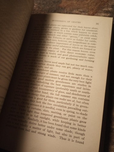 A Textbook Of Botany For Colleges by W.F. Ganong -1916 Hardcover -Exlibris