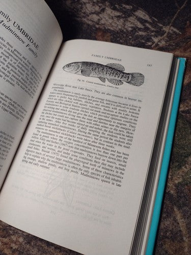 Northern Fishes By Samuel Eddy -Hardcover -1974 -Revised 3rd Ed -Vintage Ecology
