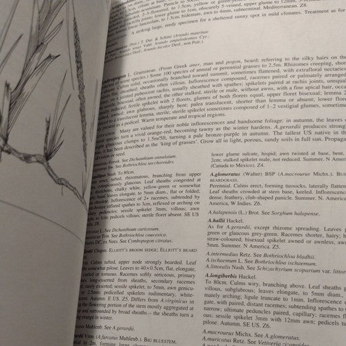 Royal Horticultural Society: Manual of Grasses by Mark Griffiths 1994 Hardcover