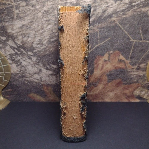 American Minority Peoples by Donald Young -Hardcover -1932 -First Edition