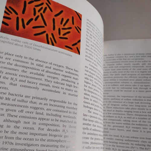 Scientific American Library: Cycles of Life : Civilization and the Biosphere by