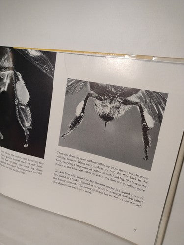 From Flower To Flower: Animals And Pollination By Patricia Lauber -1st Ed -1986