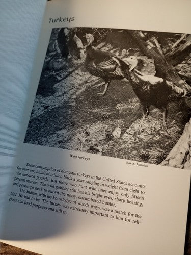 Speaking of Indians: Accent on the Southwest, Johnston~Tribes & Customs~History