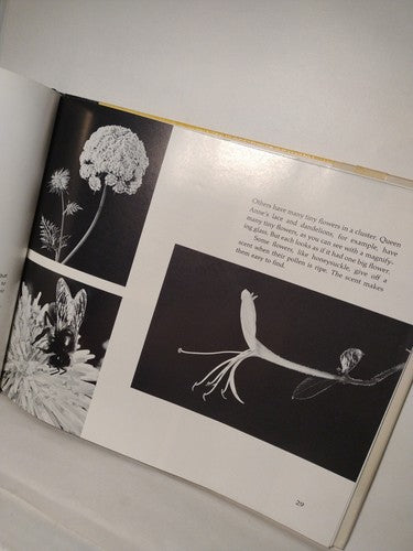 From Flower To Flower: Animals And Pollination By Patricia Lauber -1st Ed -1986