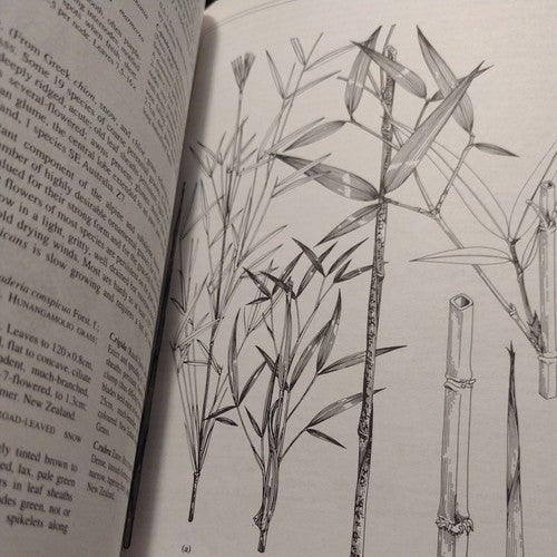 Royal Horticultural Society: Manual of Grasses by Mark Griffiths 1994 Hardcover