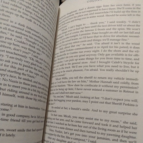 Colony by Anne Rivers Siddons (1992, Hardcover)