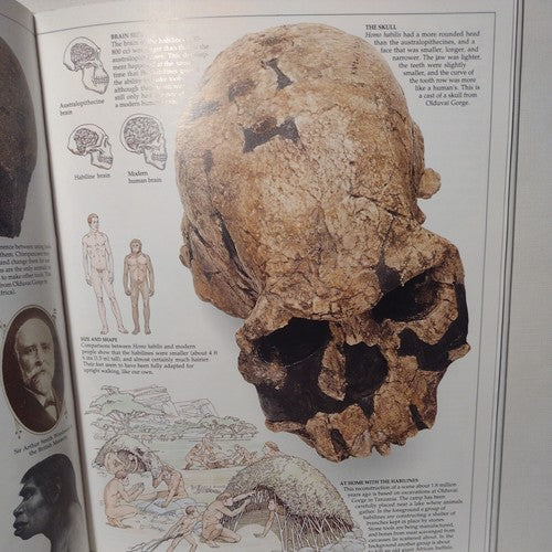 Eyewitness Books: Early Humans by Nick Merriman, 1989 1st American Ed. Hardcover