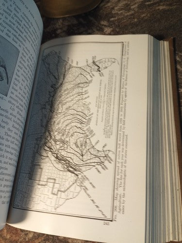 Rare Insect Pests Of Farm, Garden, And Orchard By Sanderson And Peairs 1921