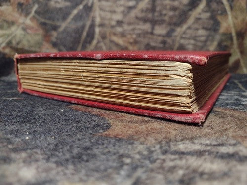 Great Englishmen of the Sixteenth Century by Sydney Lee -1904 -Vintage Hardcover