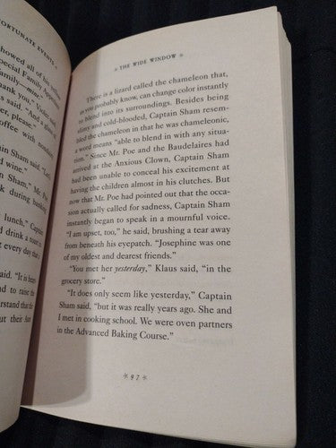 The Wide Window by Lemony Snicket