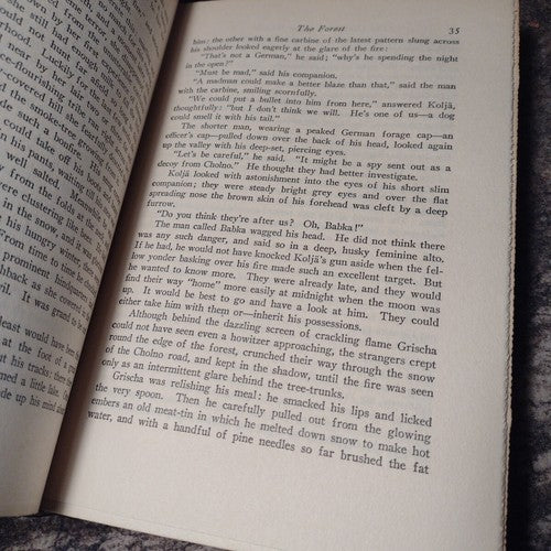 The Case of Sergeant Grischa by Arnold Zweig -1928 -Hardcover -3rd Printing