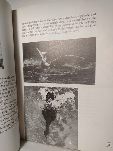 The Submarine Bird By Jack Denton Scott -1979 -HCwDJ -