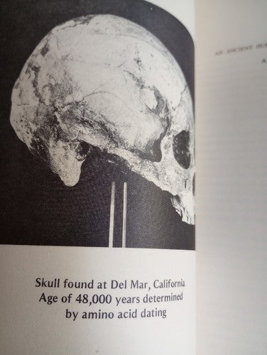 An Ancient Human Skeleton Found At Del Mar California By Spencer Rogers San Dieg