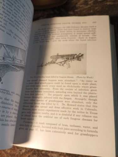 Rare Insect Pests Of Farm, Garden, And Orchard By Sanderson And Peairs 1921