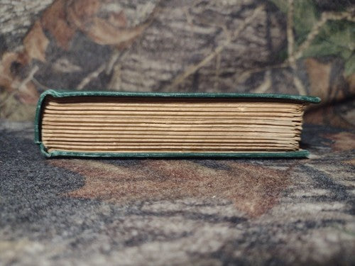 The Flourishing of Romance by George Saintsbury -Hardcover -1907 -Literary Crit