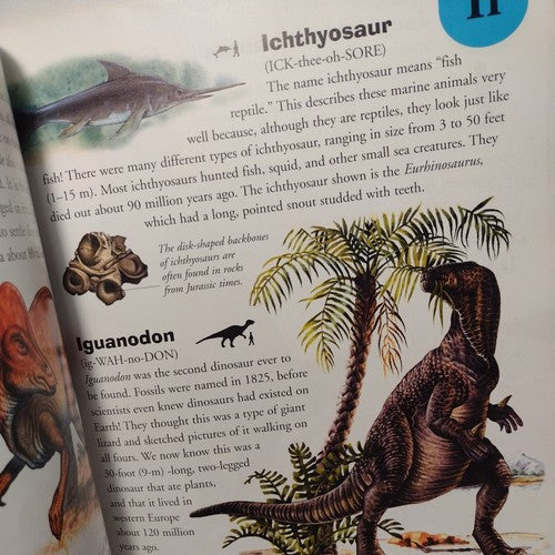 Dinosaur Dictionary: An A to Z of Dinosaurs and Prehistori... by rupert-matthews