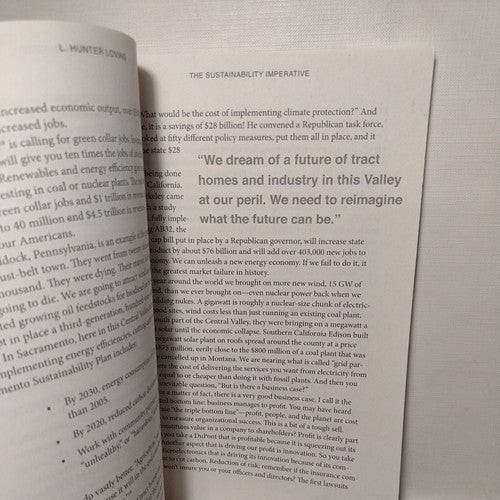 2020 : Visions for the Central Valley by Amy Moffat (2010, Trade Paperback)