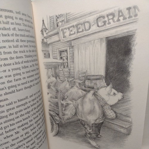 Quentin Corn by Mary Stolz -1985 Hardcover -First Edition