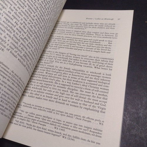The Politics of Gender in Early Modern Europe Volume XII by Jean R. Brink -1989