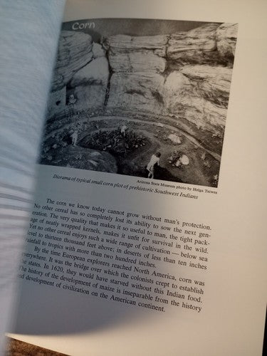 Speaking of Indians: Accent on the Southwest, Johnston~Tribes & Customs~History
