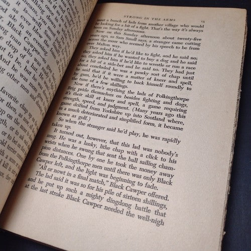 Sam Small Flies Again by Eric Knight -Hardcover -1942 -Vintage Literature