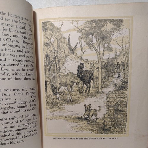Shaggy The Horse from Wyoming by Russell Gordon Carter -1939 -HC no DJ -exLib