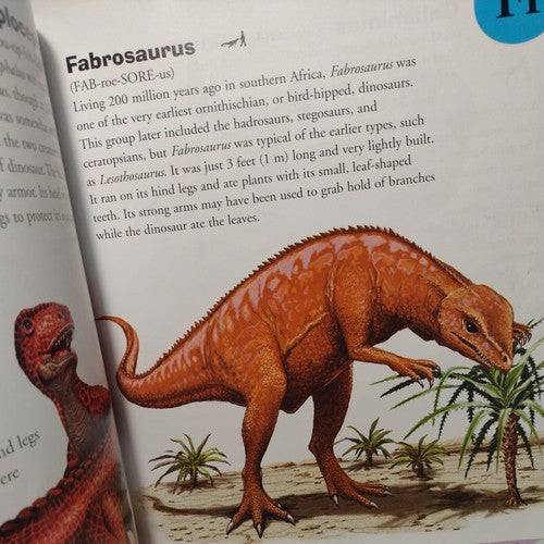 Dinosaur Dictionary: An A to Z of Dinosaurs and Prehistori... by rupert-matthews