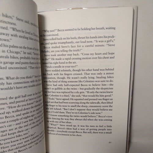 Rain of Fire by Marion Dane Bauer -1983, Hardcover -Hardcover -General Fiction