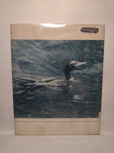 The Submarine Bird By Jack Denton Scott -1979 -HCwDJ -