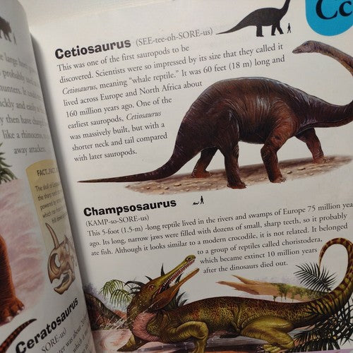 Dinosaur Dictionary: An A to Z of Dinosaurs and Prehistori... by rupert-matthews