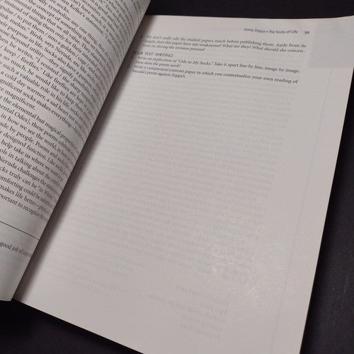 The World Is A Text by Jonathan Silverman Instructor's Edition -Paperback 2006