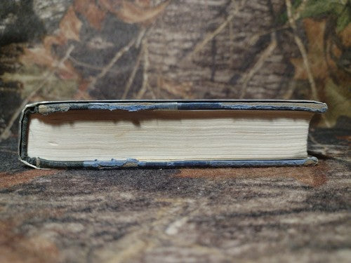 REINCARNATION: A New Horizon in Science by Sylvia Cranston -1984 -1st Ed -HCwDJ.