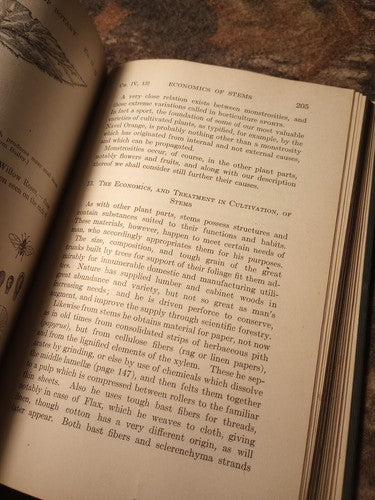 A Textbook Of Botany For Colleges by W.F. Ganong -1916 Hardcover -Exlibris