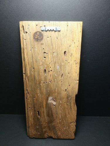 Etched Wood Plaque "Worm Syrup"