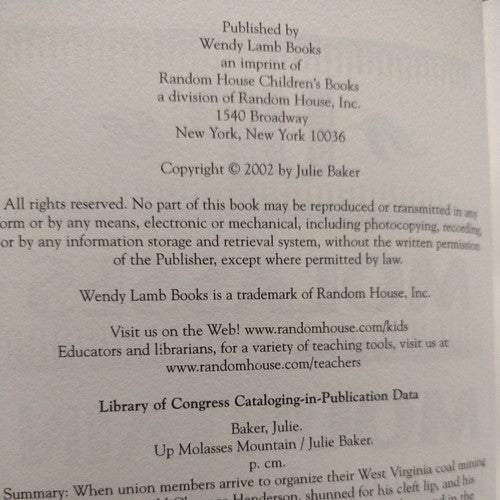 Up Molasses Mountain by Julie Baker (2002, Library Binding)