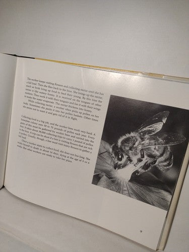 From Flower To Flower: Animals And Pollination By Patricia Lauber -1st Ed -1986
