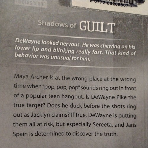 Urban Underground Ser.: Shadows of Guilt by Anne Schraff (2010, Trade Paperback…