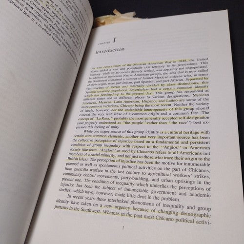 Race and Class in the Southwest: A Theory of Racial Inequality by Mario Barrera