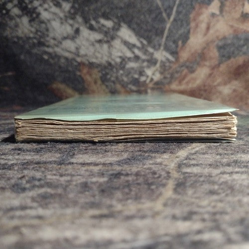 Great Literary Events: Stories of Merovingian Times by A. Augustin-Thierry 1929