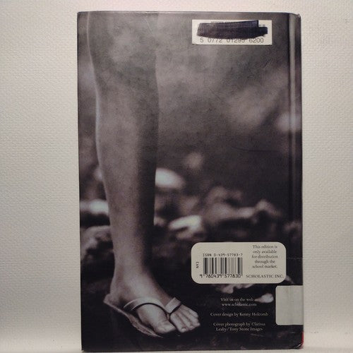 Pictures of Hollis Woods by Patricia Reilly Giff (Hardcover)