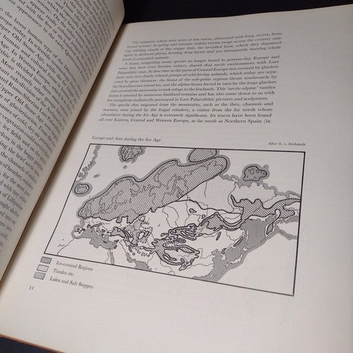 Art in the Ice Age by Johannes Maringer -1953 Hardcover -Prehistoric Art