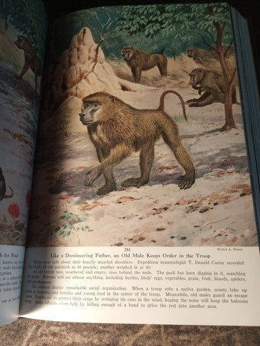 1956 National Geographic Magazine Bound Issues Jan-Dec Vol 1 & 2 HC
