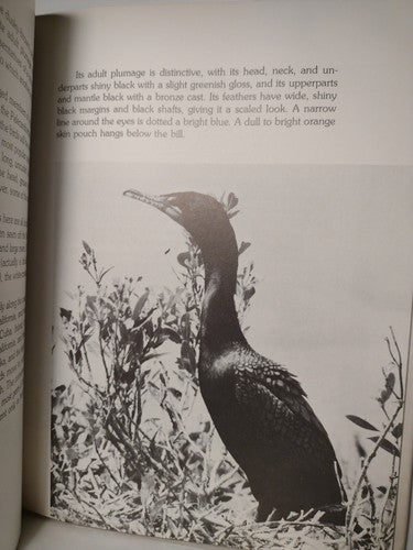 The Submarine Bird By Jack Denton Scott -1979 -HCwDJ -