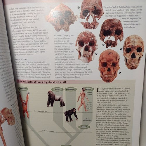 Geographica The Complete Illustrated Atlas of the World Hardcover 1999 Lg Format