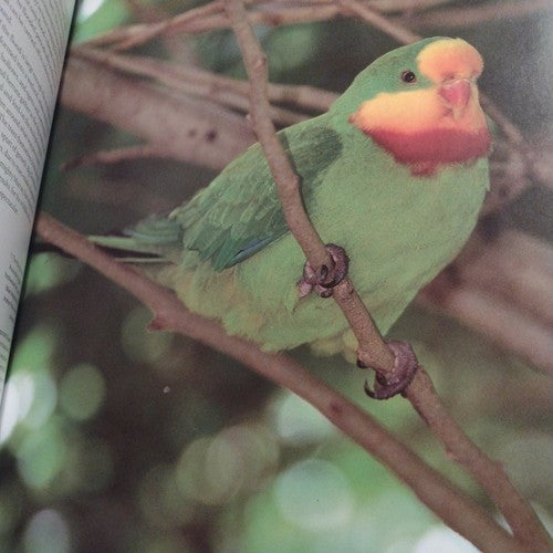 Wild Australasia by Mary Summerill & Neil Nightengale -2003 Hardcover