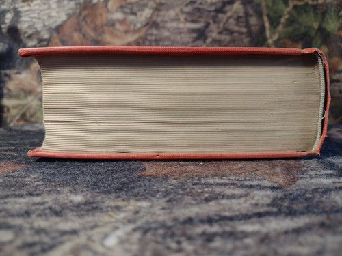Current Social Problems by John Gillette -Hardcover -1933 -Vintage Sociology